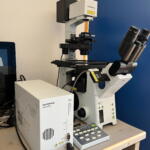 Olympus IX81 Motorized Inverted Microscope with Interference Contrast