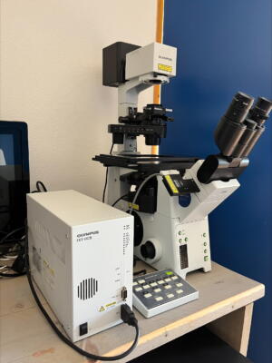 Olympus IX81 Motorized Inverted Microscope with Interference Contrast