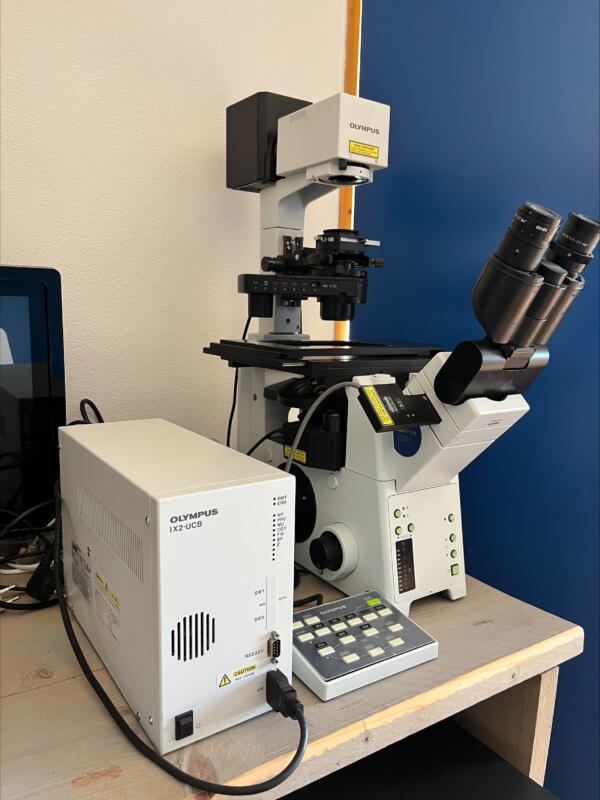 Olympus IX81 Motorized Inverted Microscope with Interference Contrast