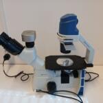 Euromex -Oxion Inverted Microscope