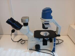 Euromex -Oxion Inverted Microscope