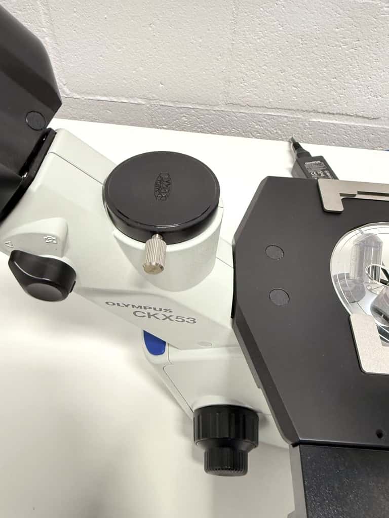 Olympus CKX53SF Inverted Microscope - LabMakelaar Benelux